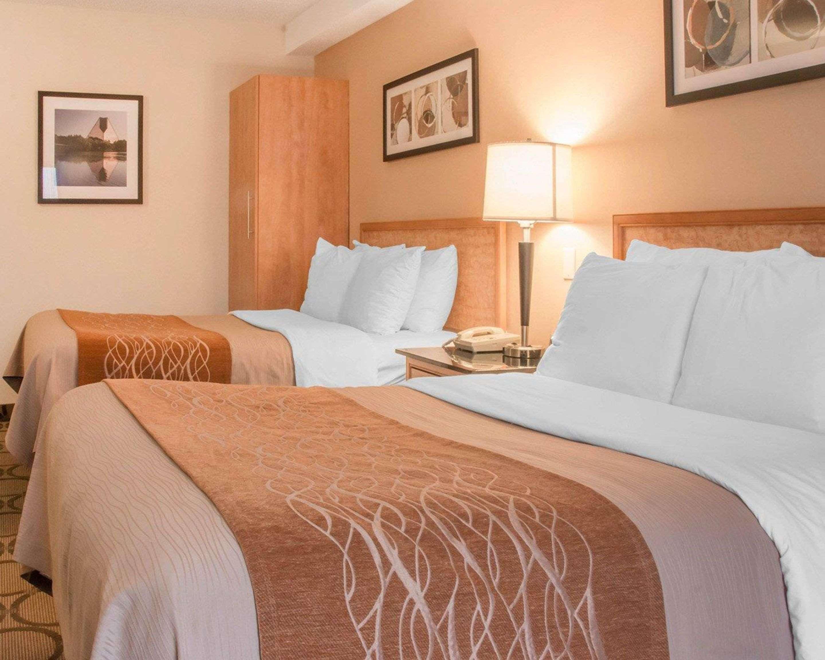 Comfort South