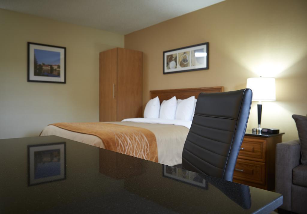 Comfort South 3*
