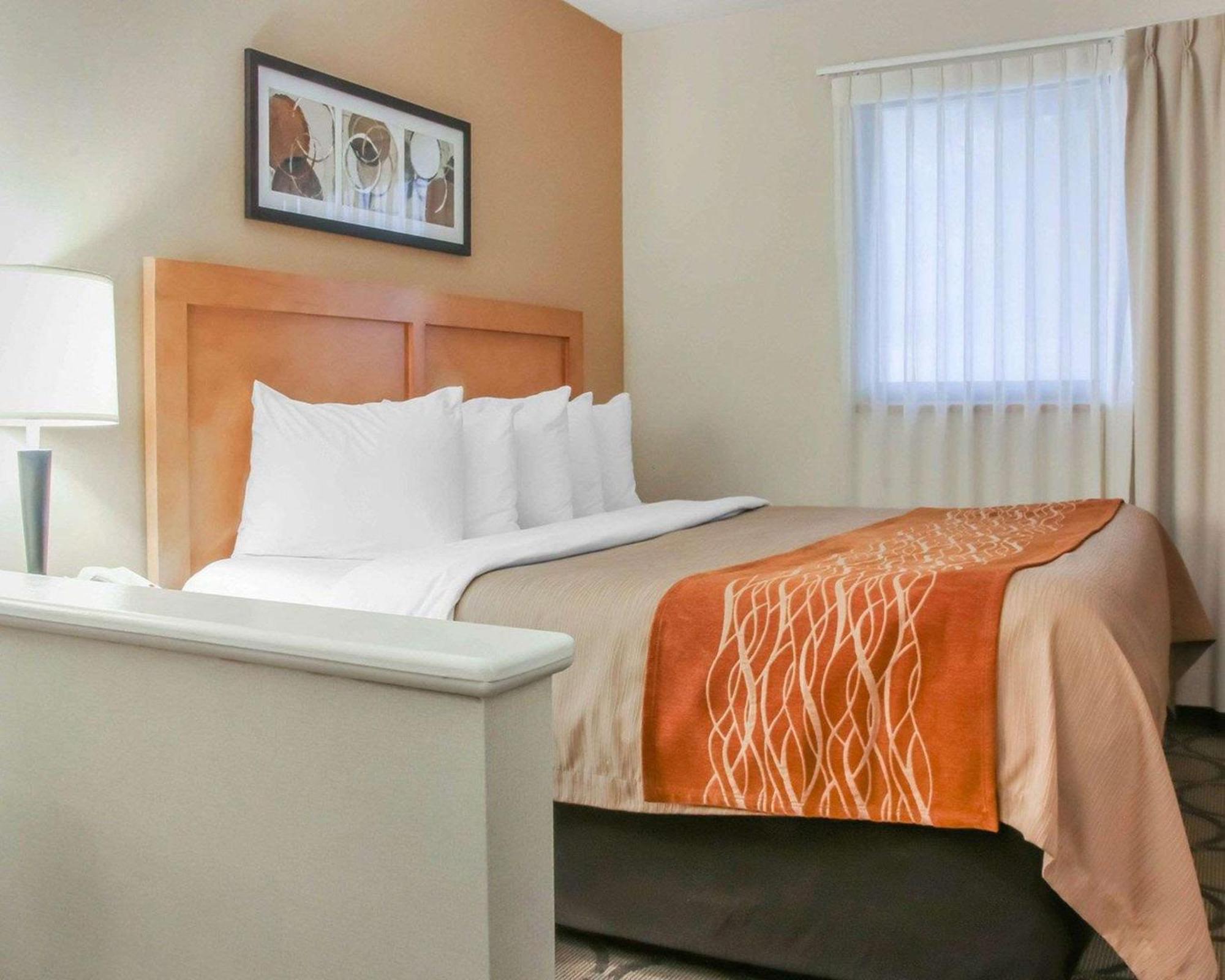 Comfort South Inn